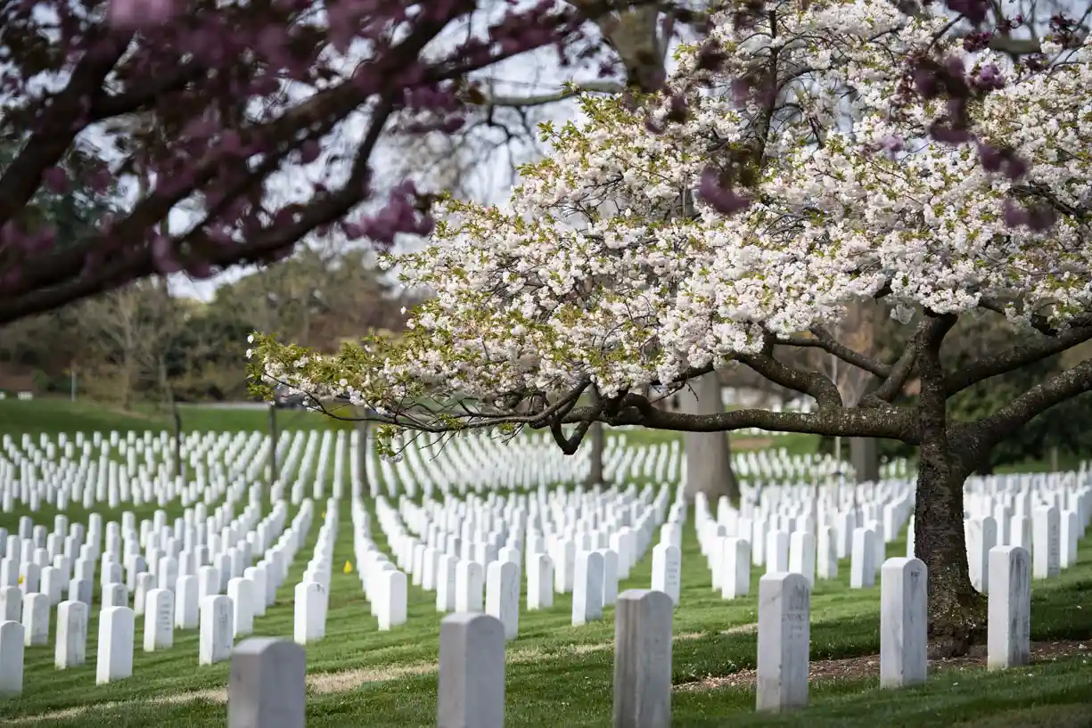 Cementerio de Arlington, Washington DC