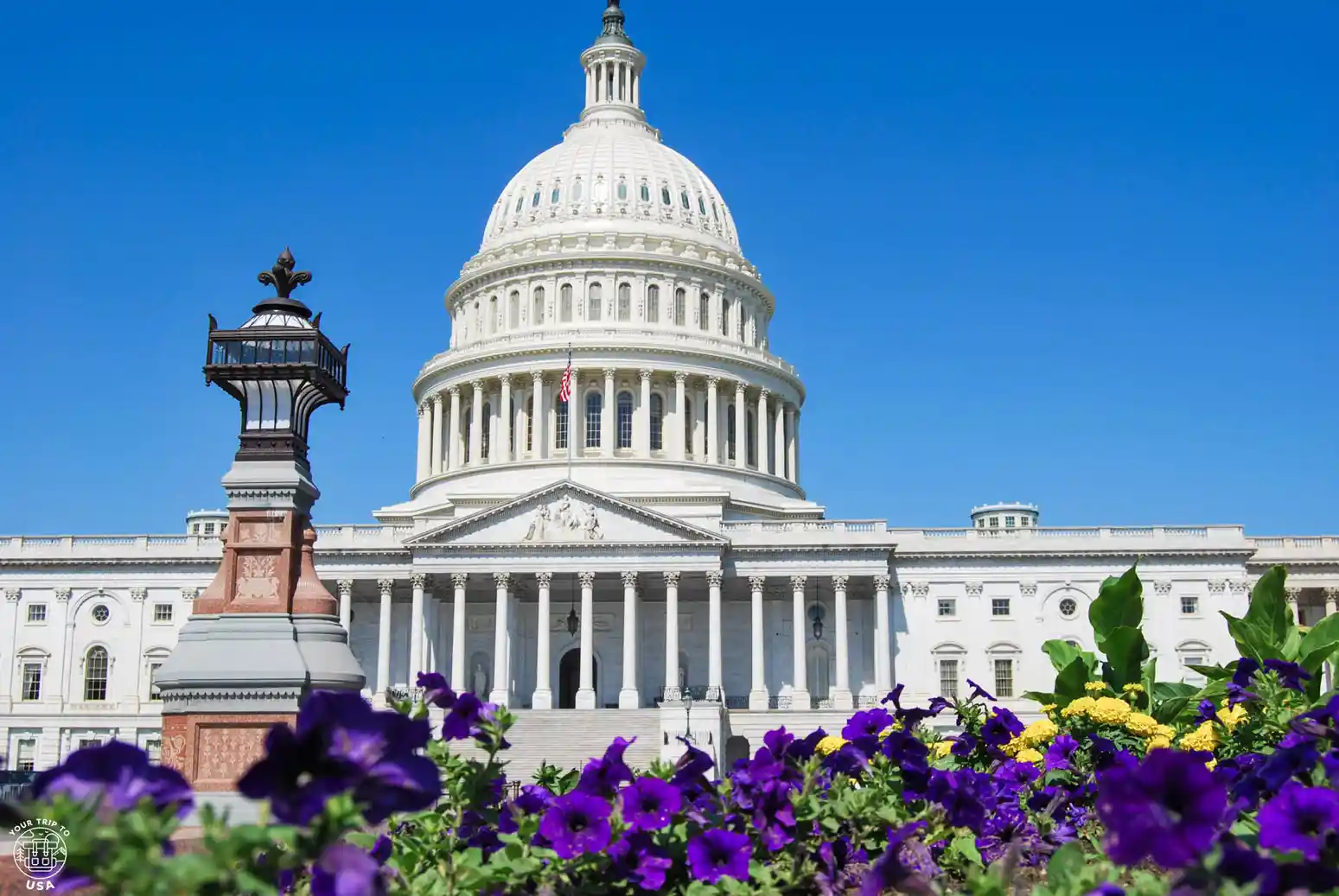 Washington DC desde Nueva York