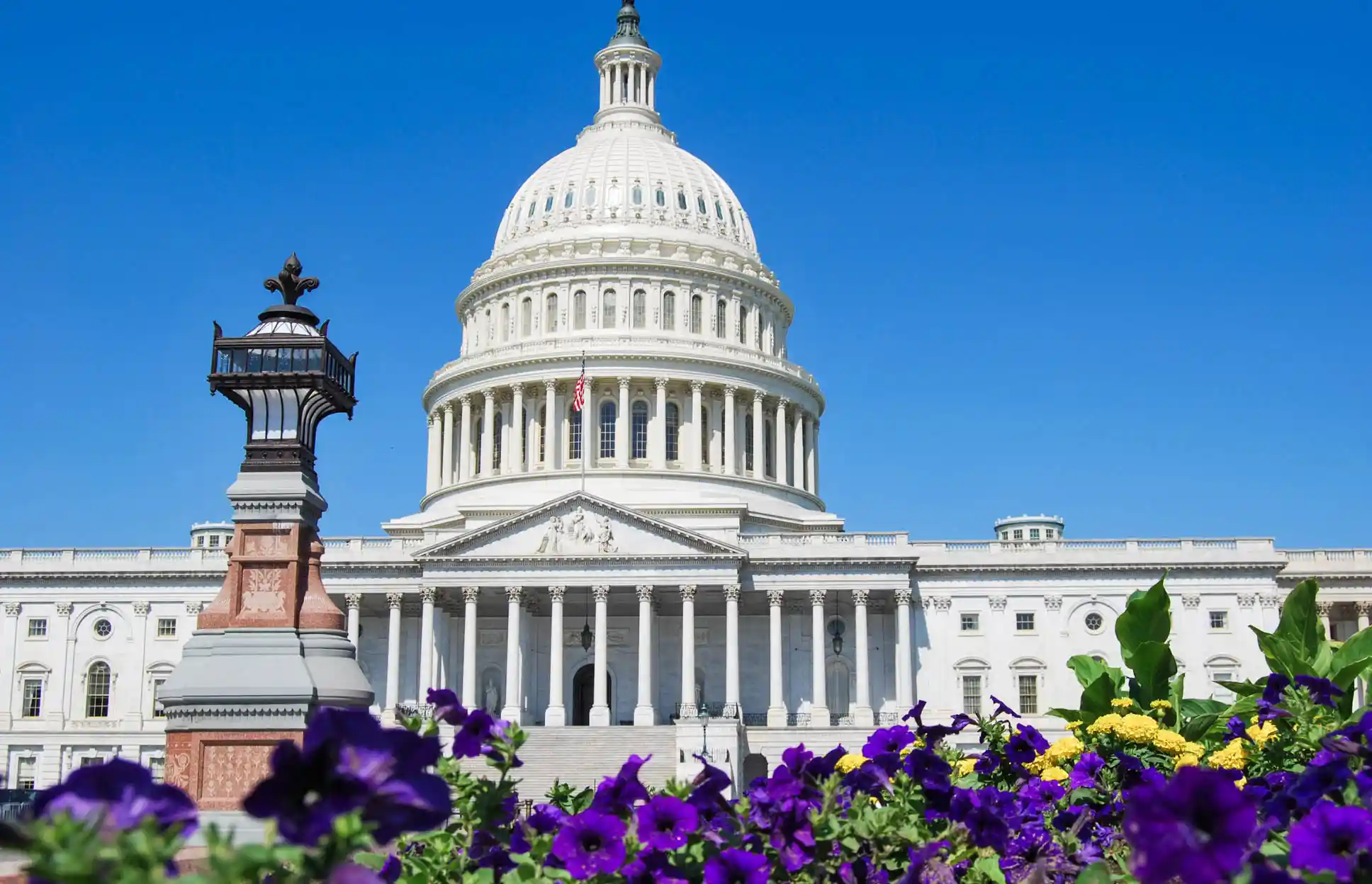 Visitar Washington DC