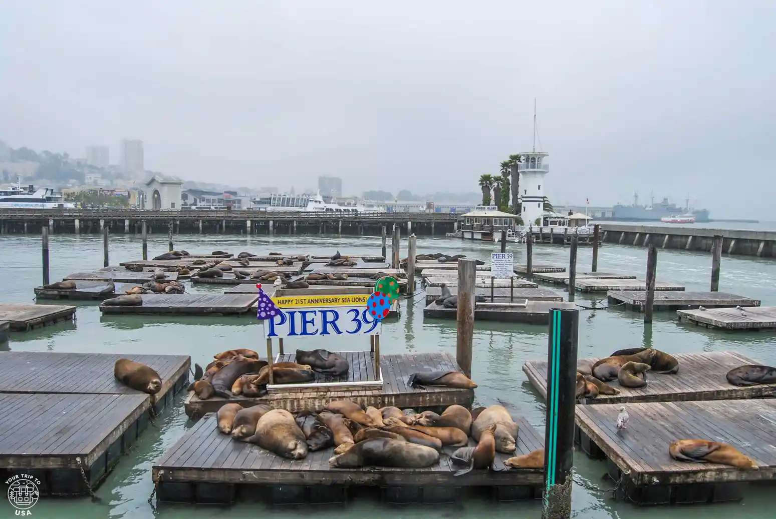 Pier 39 en Fisherman's Wharf, San Francisco