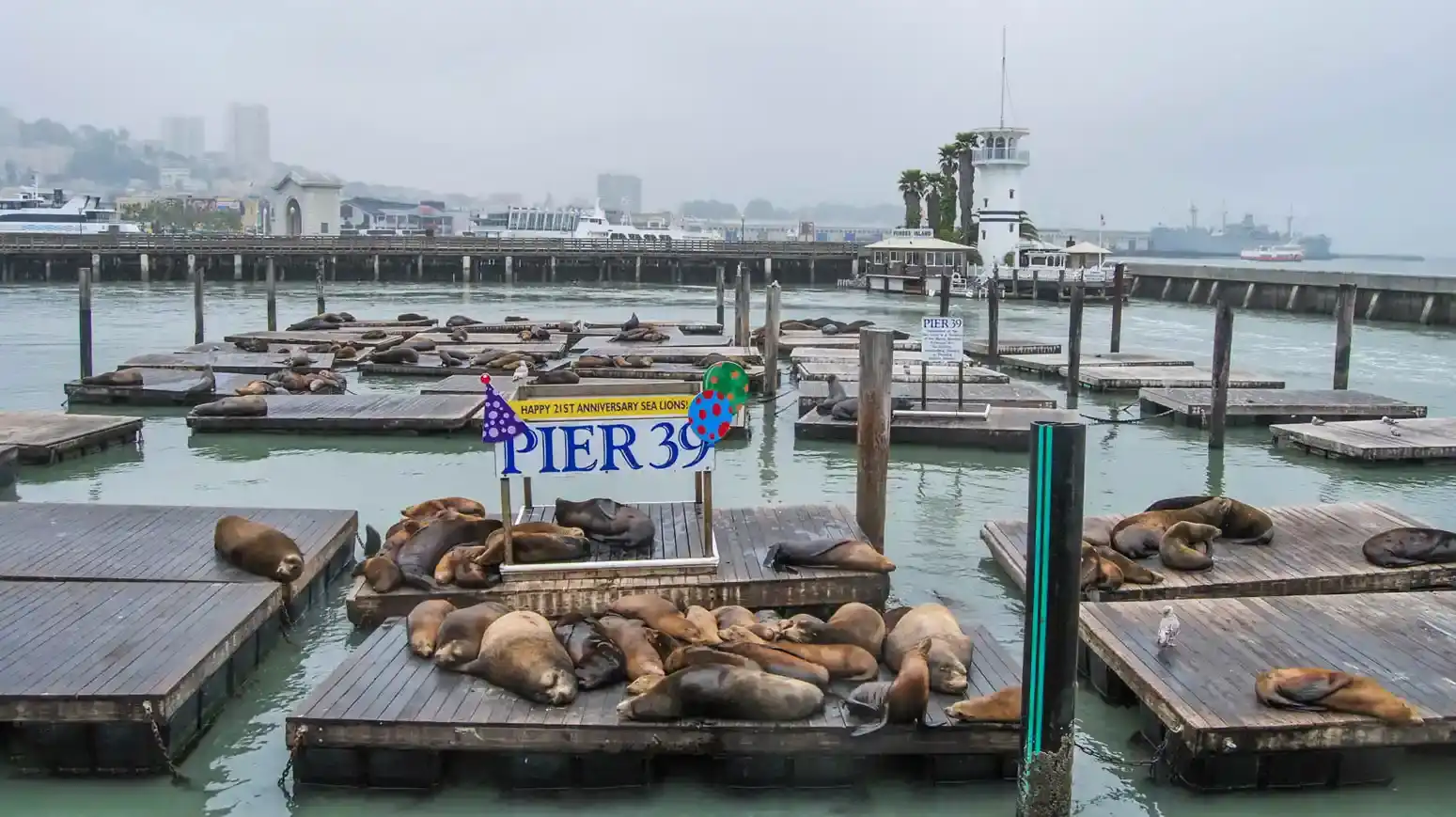 4 day san francisco itinerary