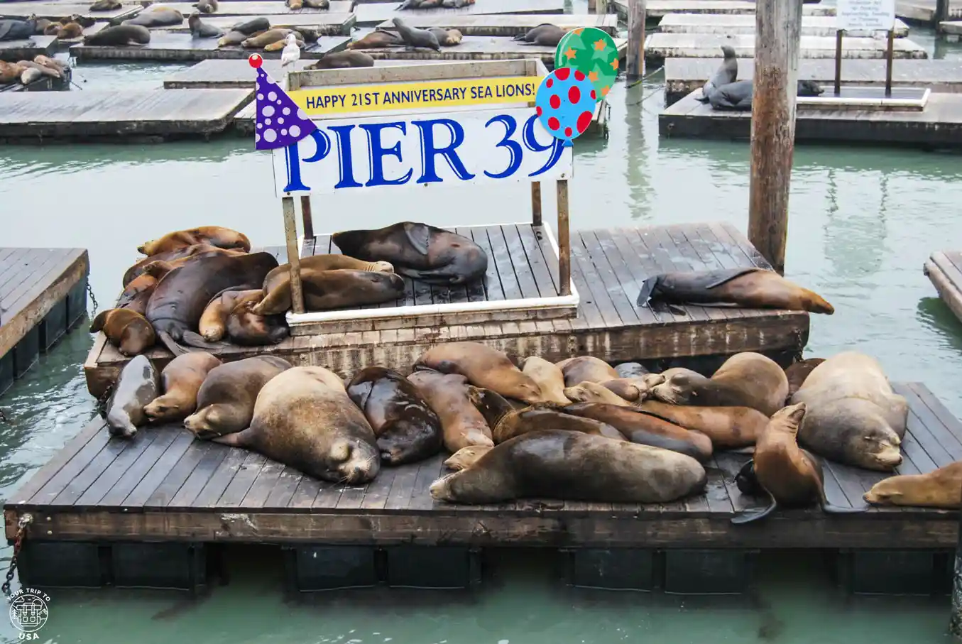 Fisherman's Wharf, best places to stay in San Francisco