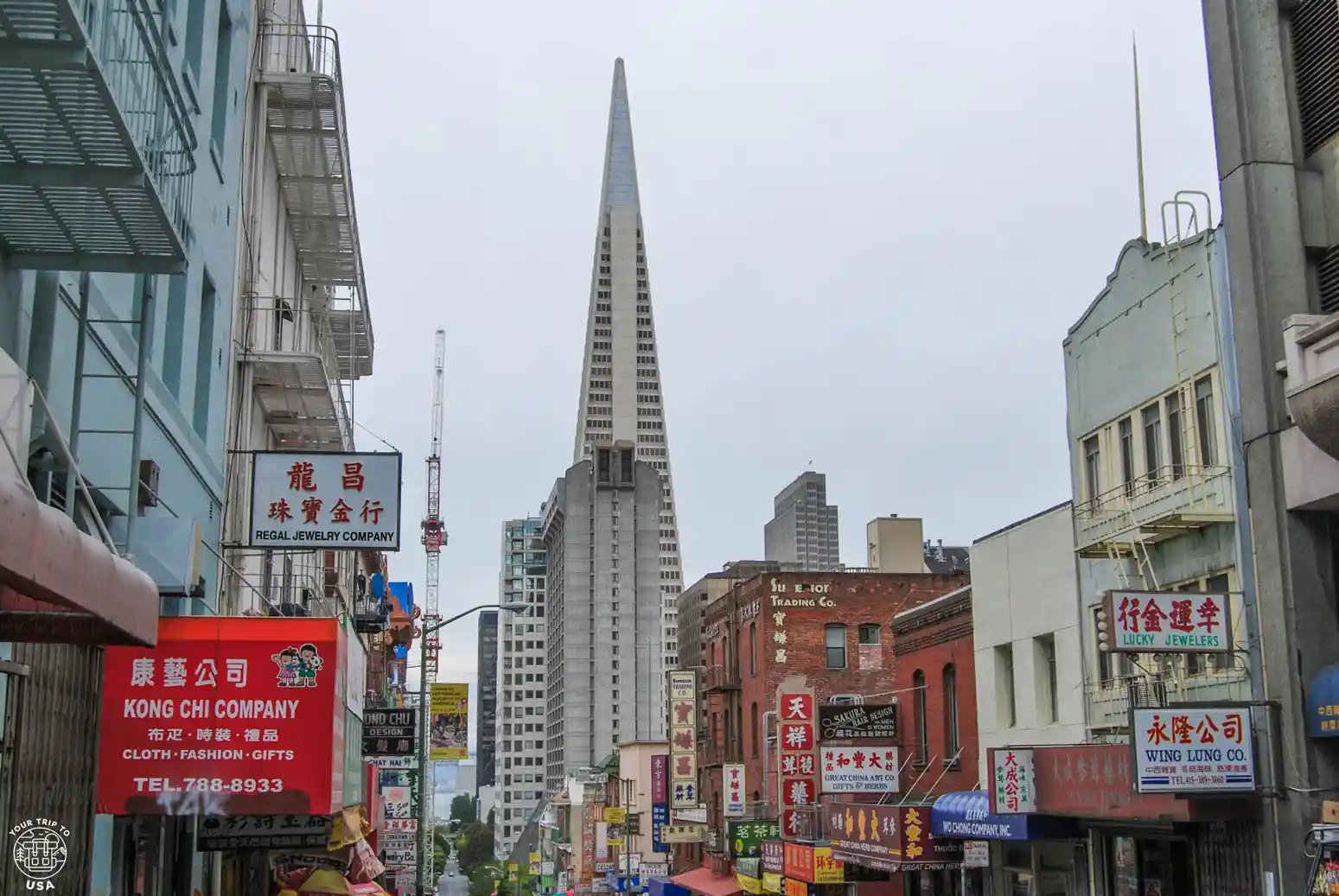 Transamerica Pyramid from Chinatown, San Francisco