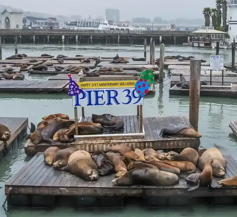 <p>WHERE TO STAY<br />
SAN FRANCISCO</p>