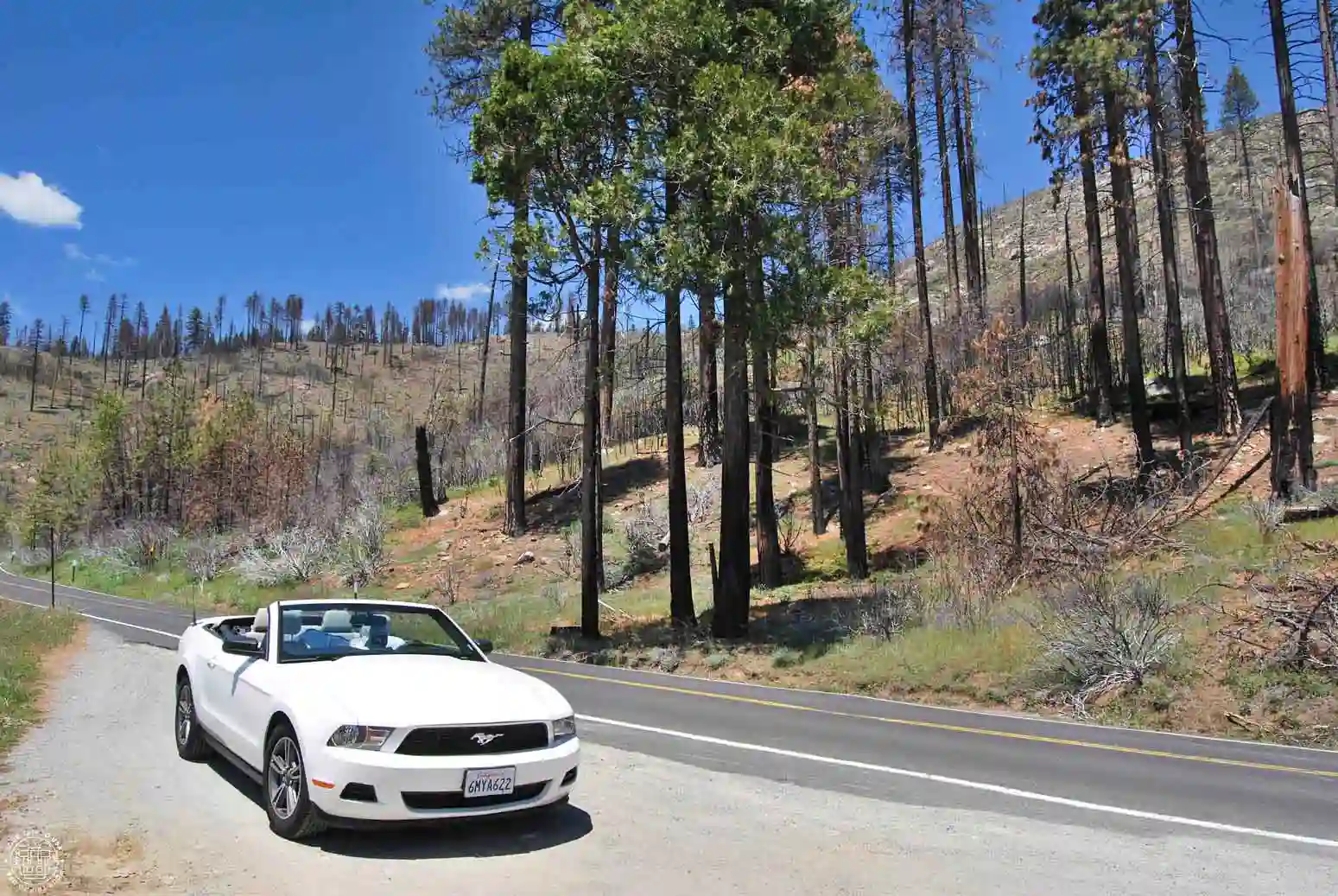 Car rental in USA West Coast