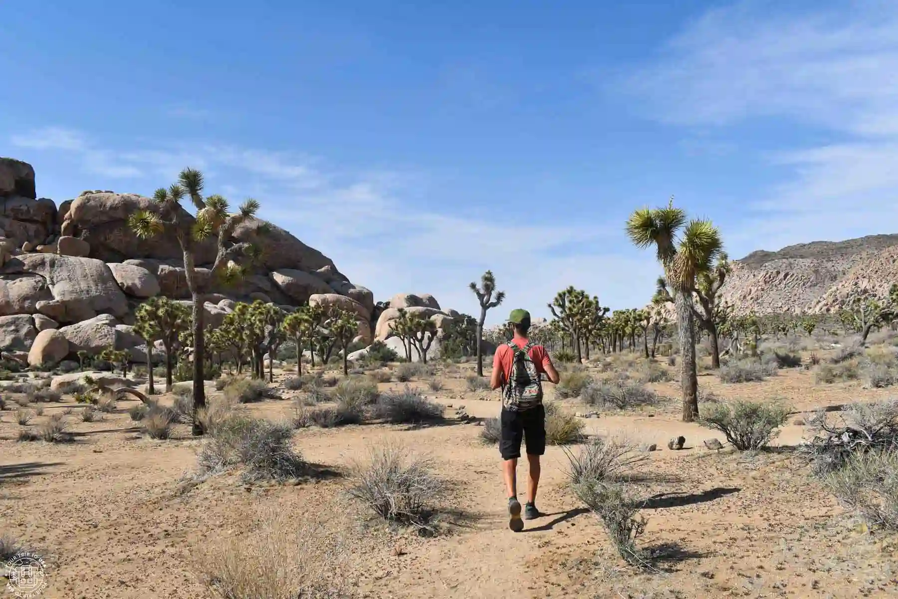 Joshua Tree National Park, USA