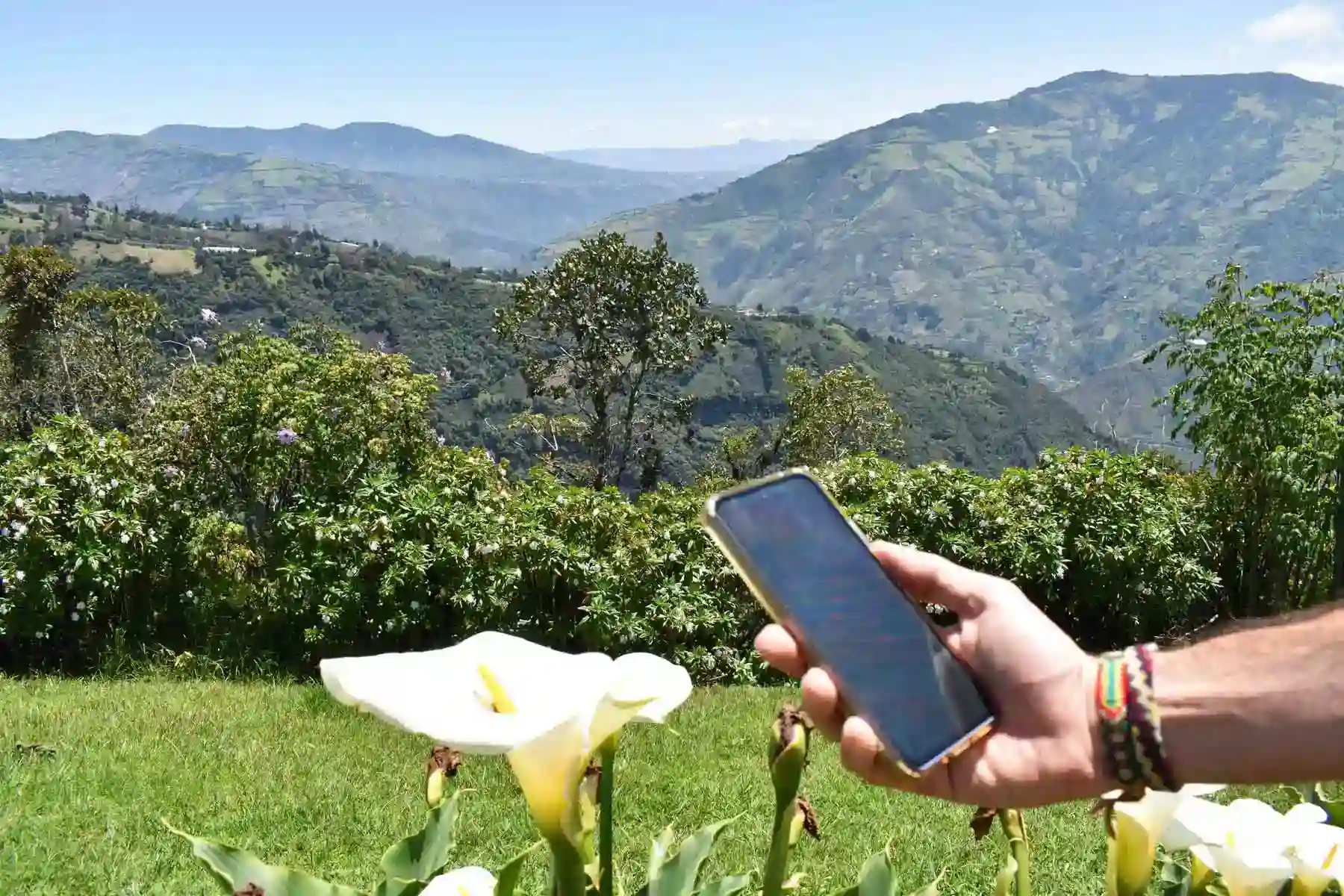 Internet en Estados Unidos