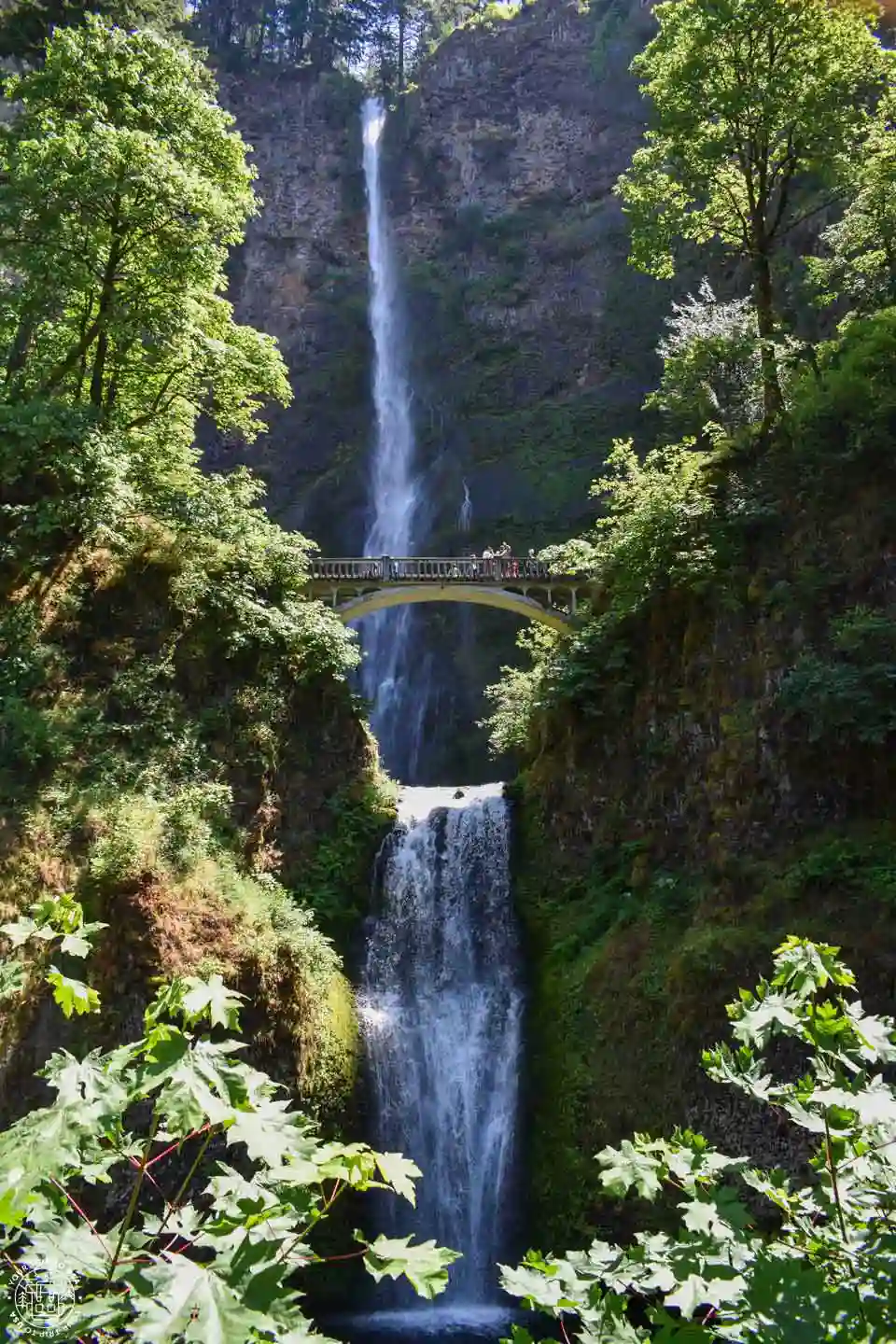 Multnomah Falls, Columbia River, Oregón
