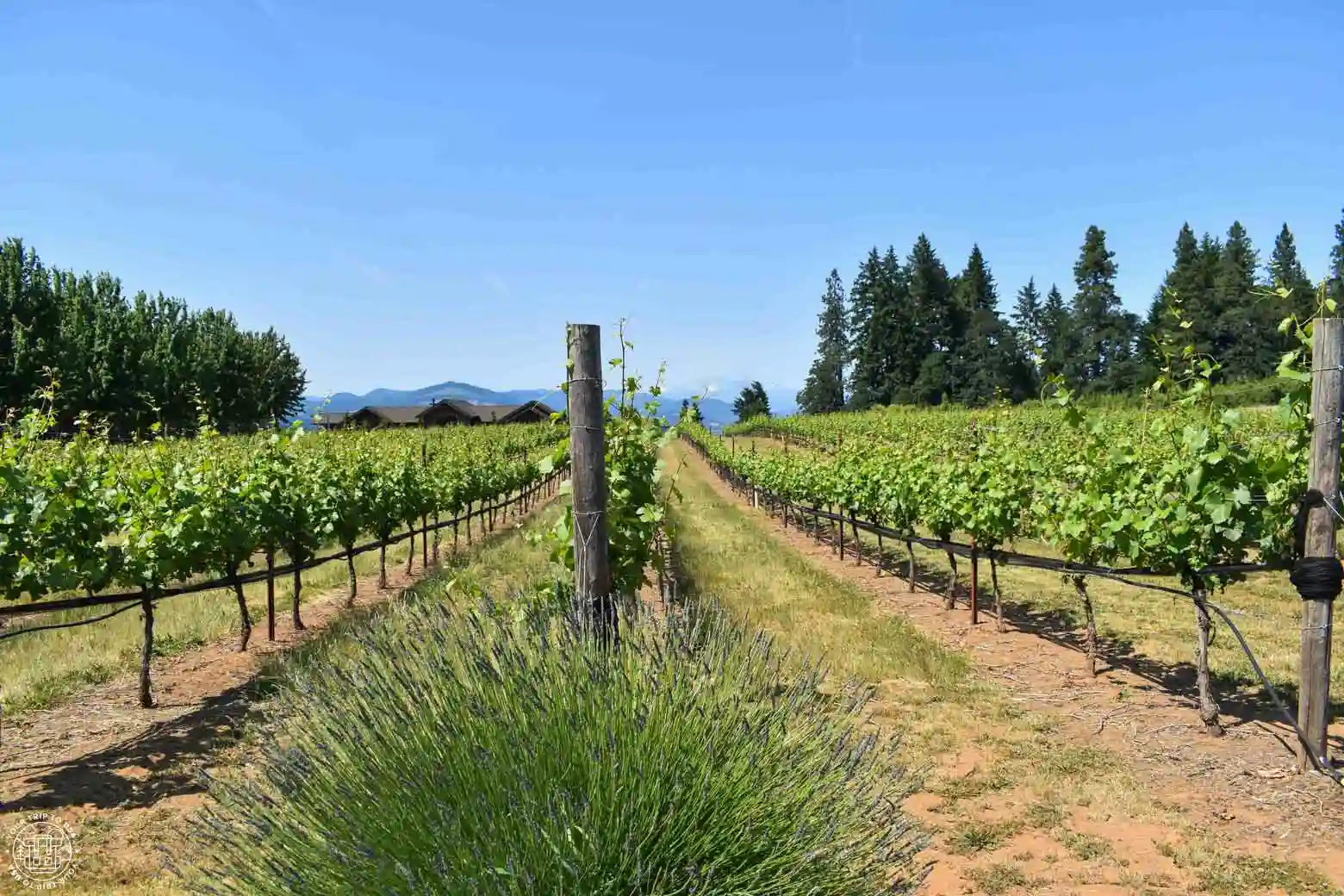 Napa Valley, California