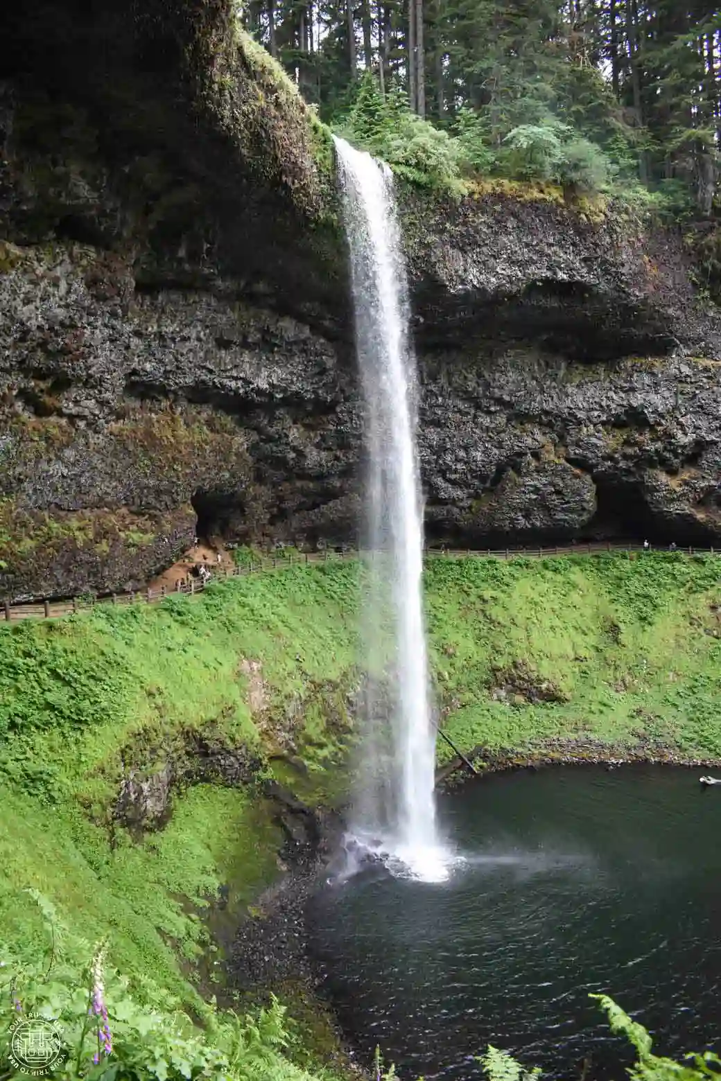 Silver Falls State Park, Oregón