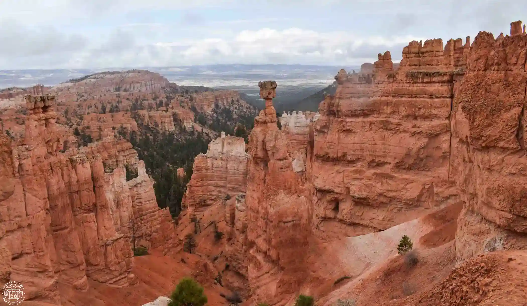 USA West Coast National Parks