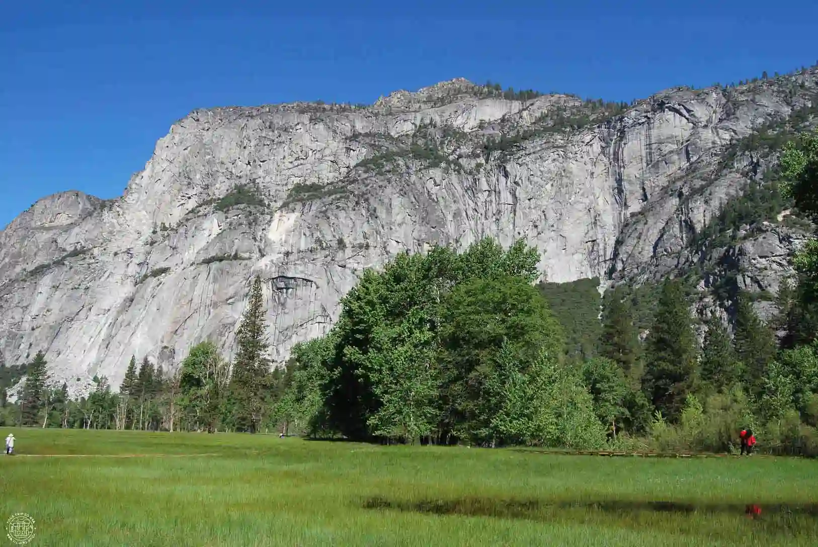 Cook's Meadow, Yosemite
