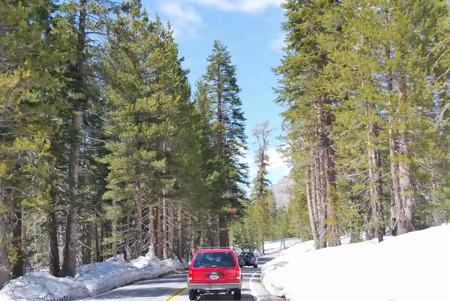 Glacier Point Road, Yosemite