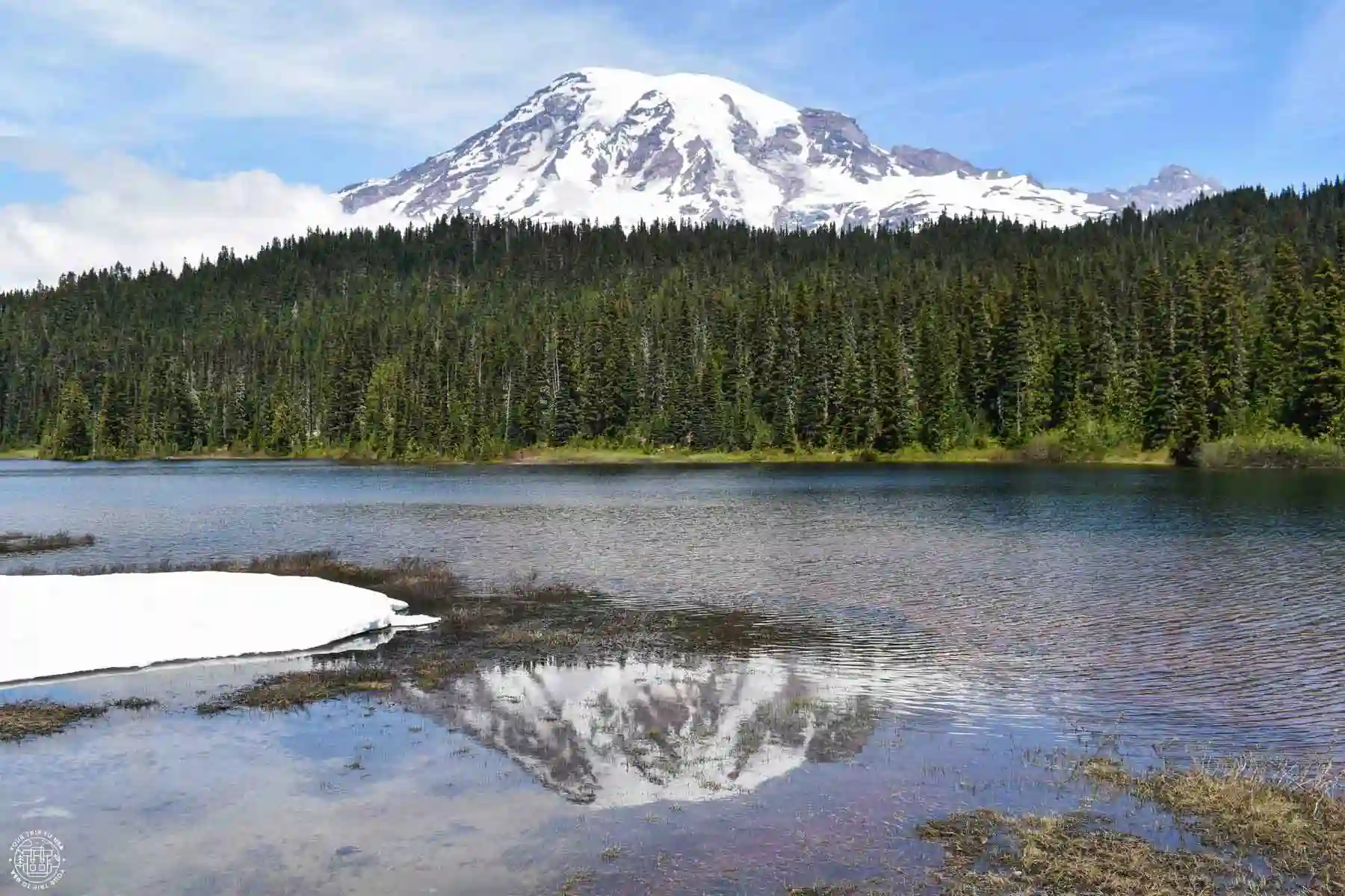 Mount Rainier National Park