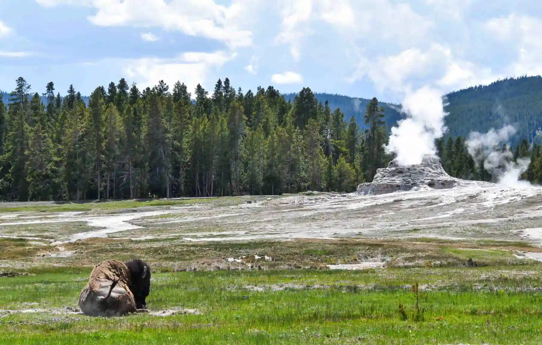Yellowstone, Teton and Glacier itinerary