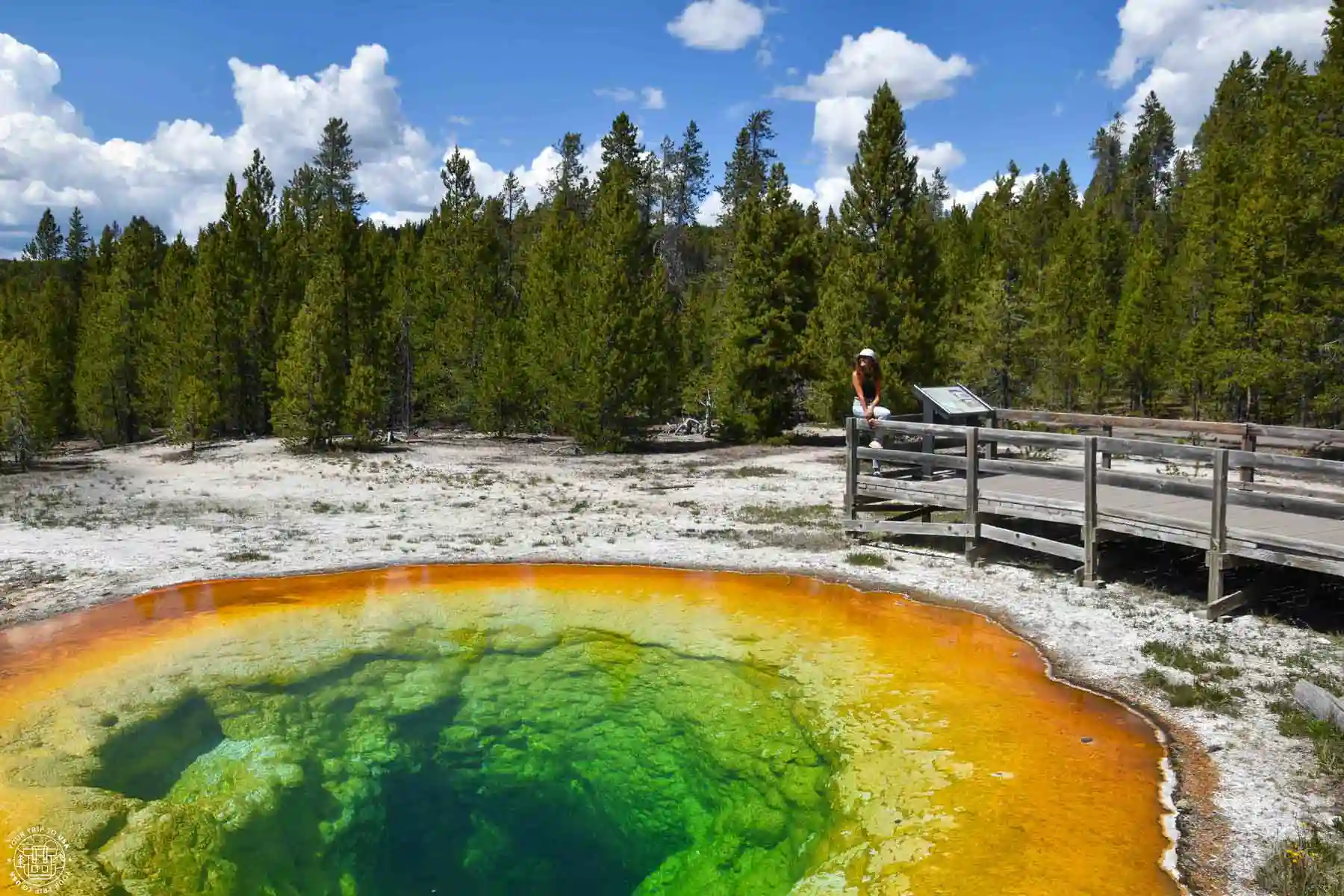 Yellowstone, ruta por Wyoming y Montana