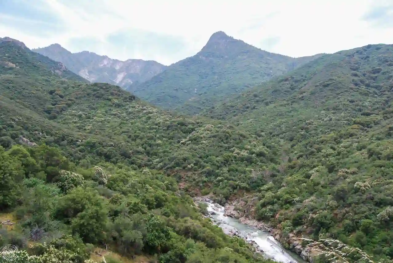 Generals Highway, Sequoia National Park