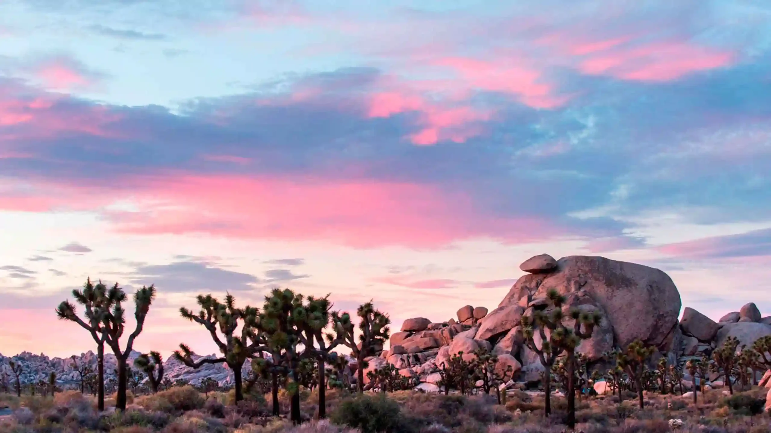 Cap Rock, Joshua Tree