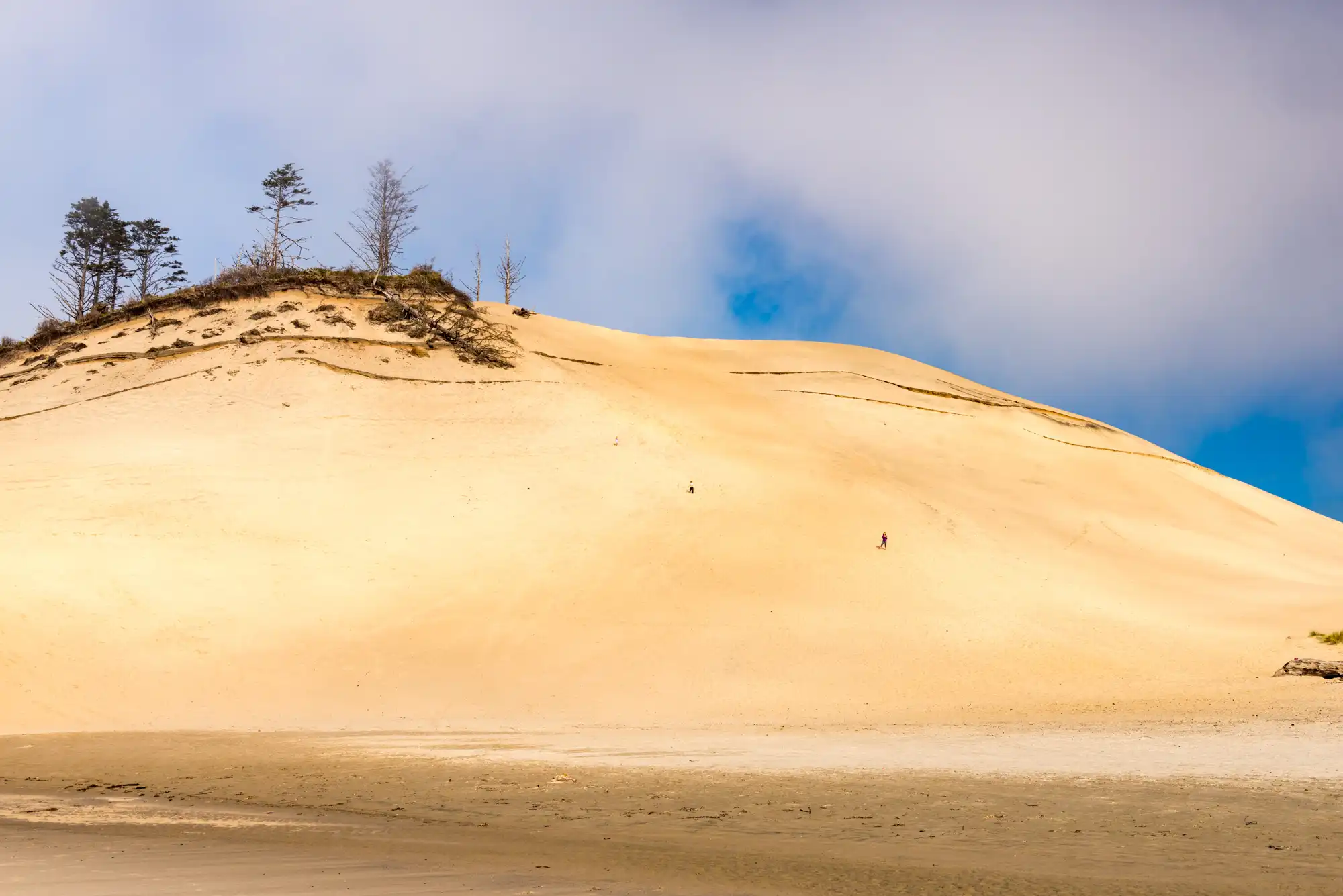 Cape Kiwanda, costa de Oregón