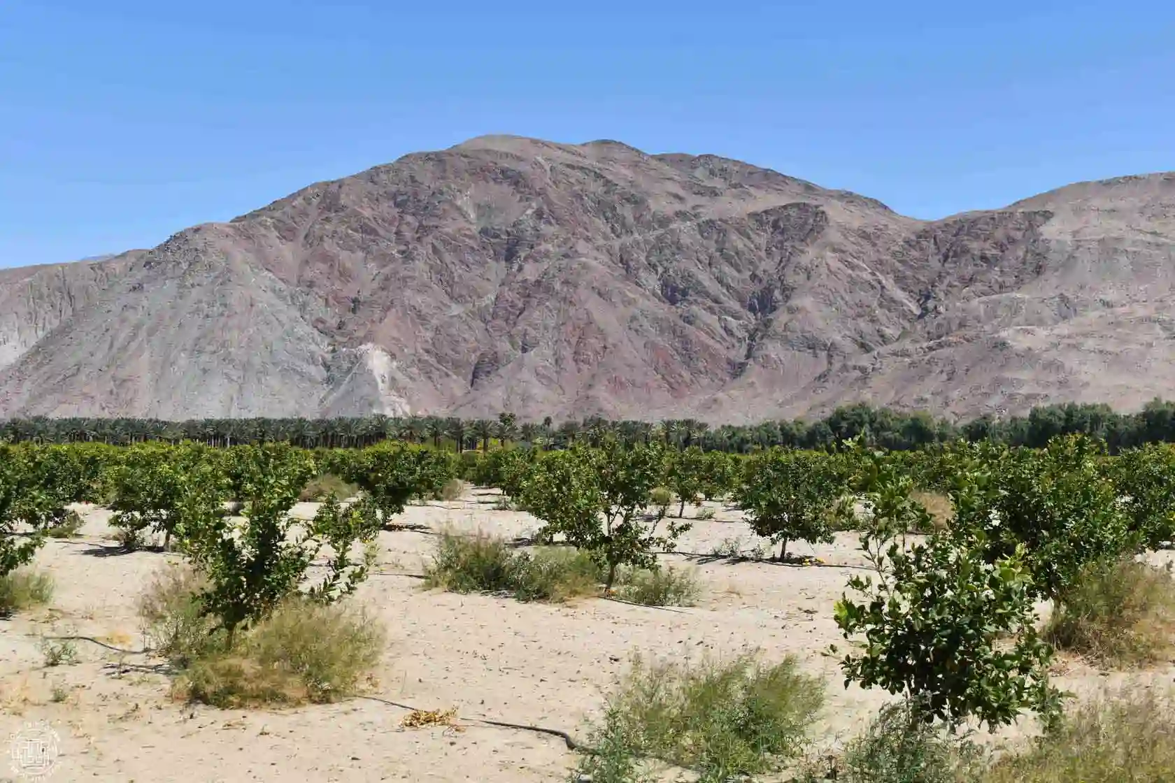 Cómo llegar a Joshua Tree