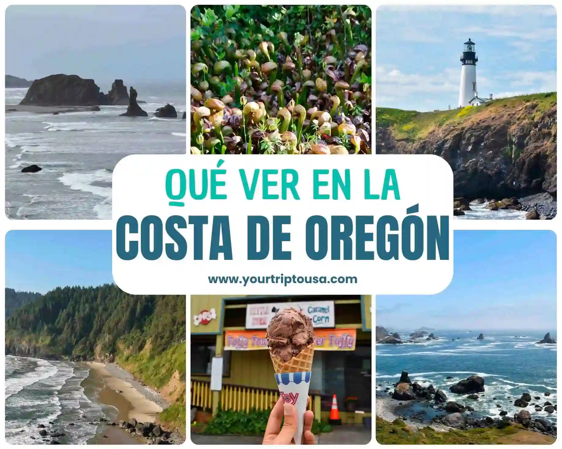 Que ver en la costa de Oregón