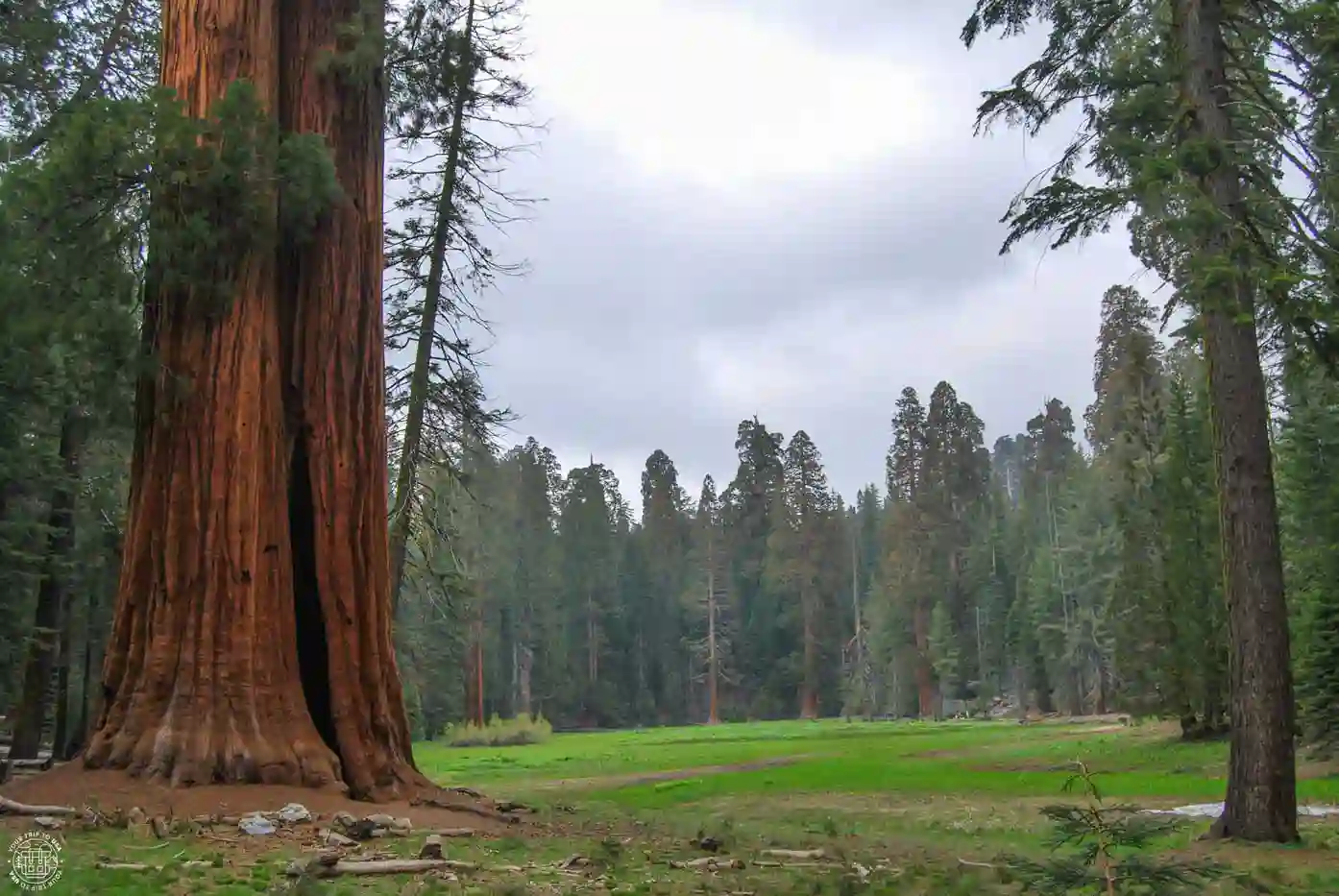 Crescent Meadow, Sequoia National Park