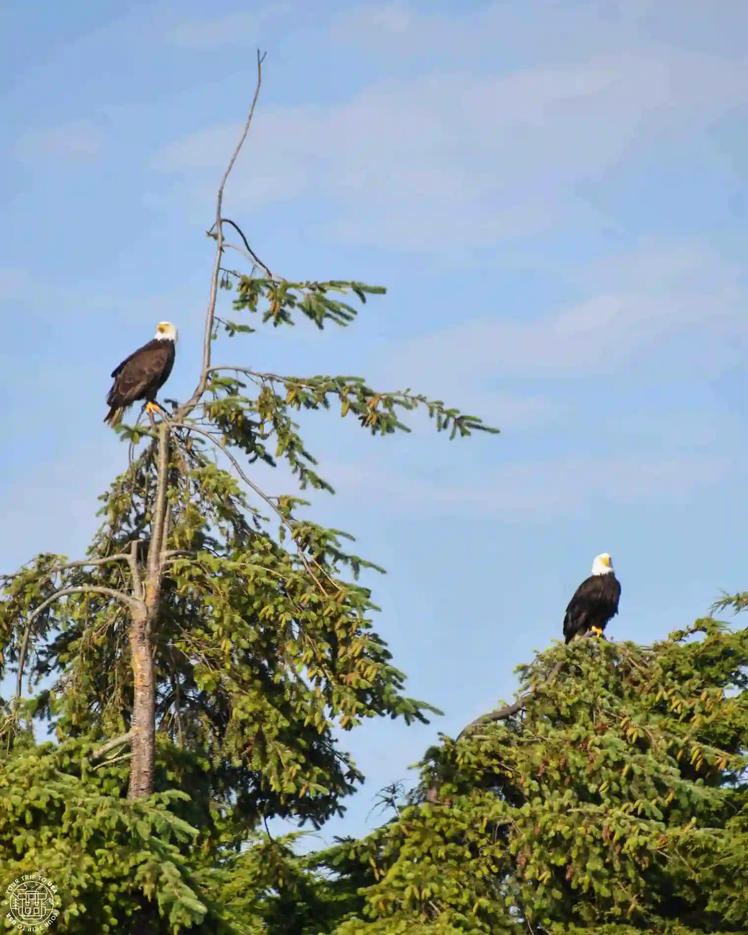 Dungeness National Wildlife Refuge, Washington