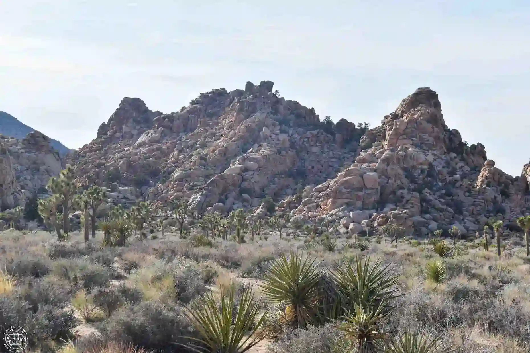 Hidden Valley, Joshua Tree