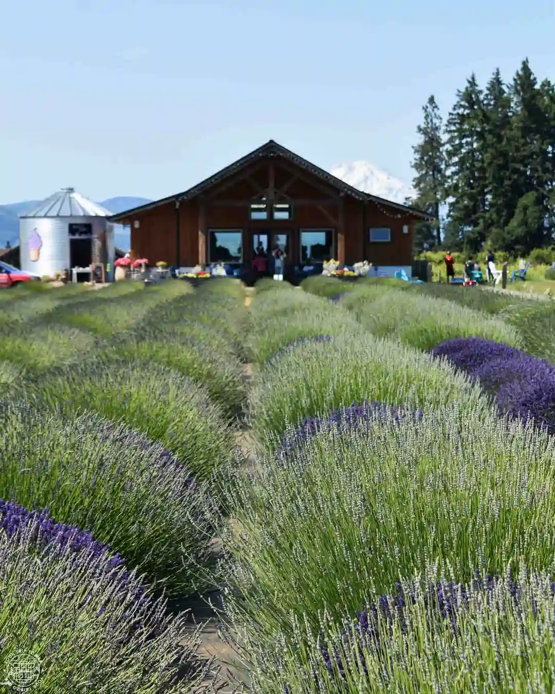 Hood River Lavender Farms, Mount Hood