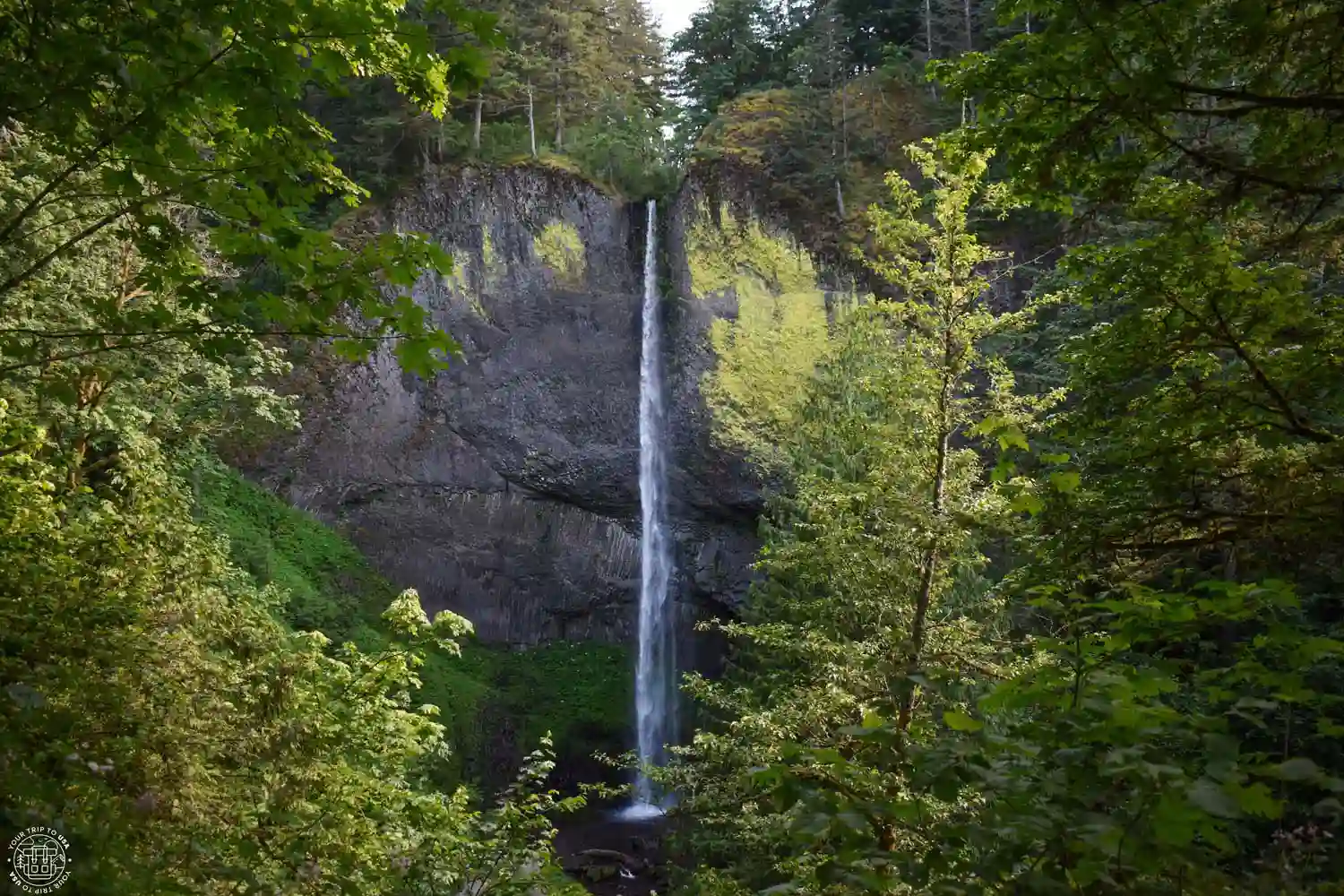 Latourell Falls, Columbia River Gorge