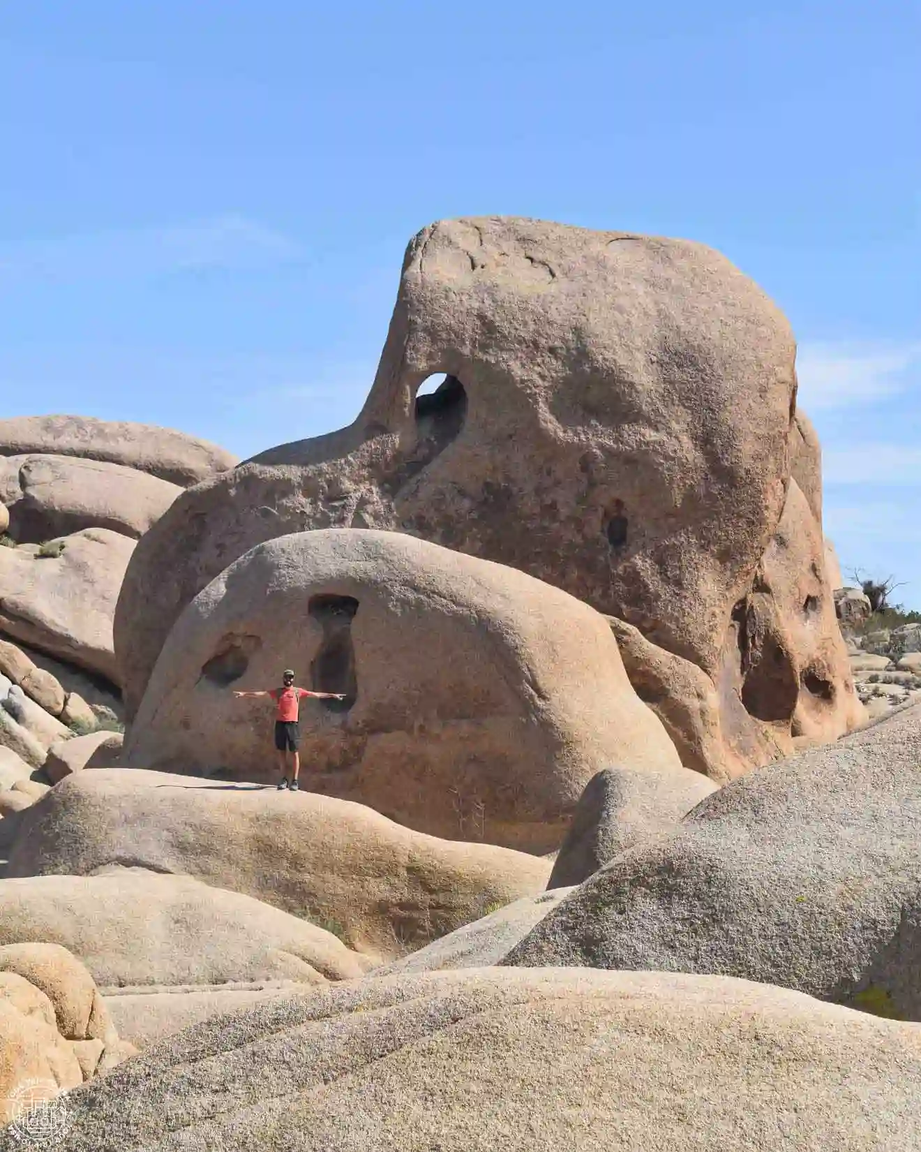 Skull Rock, Joshua Tree