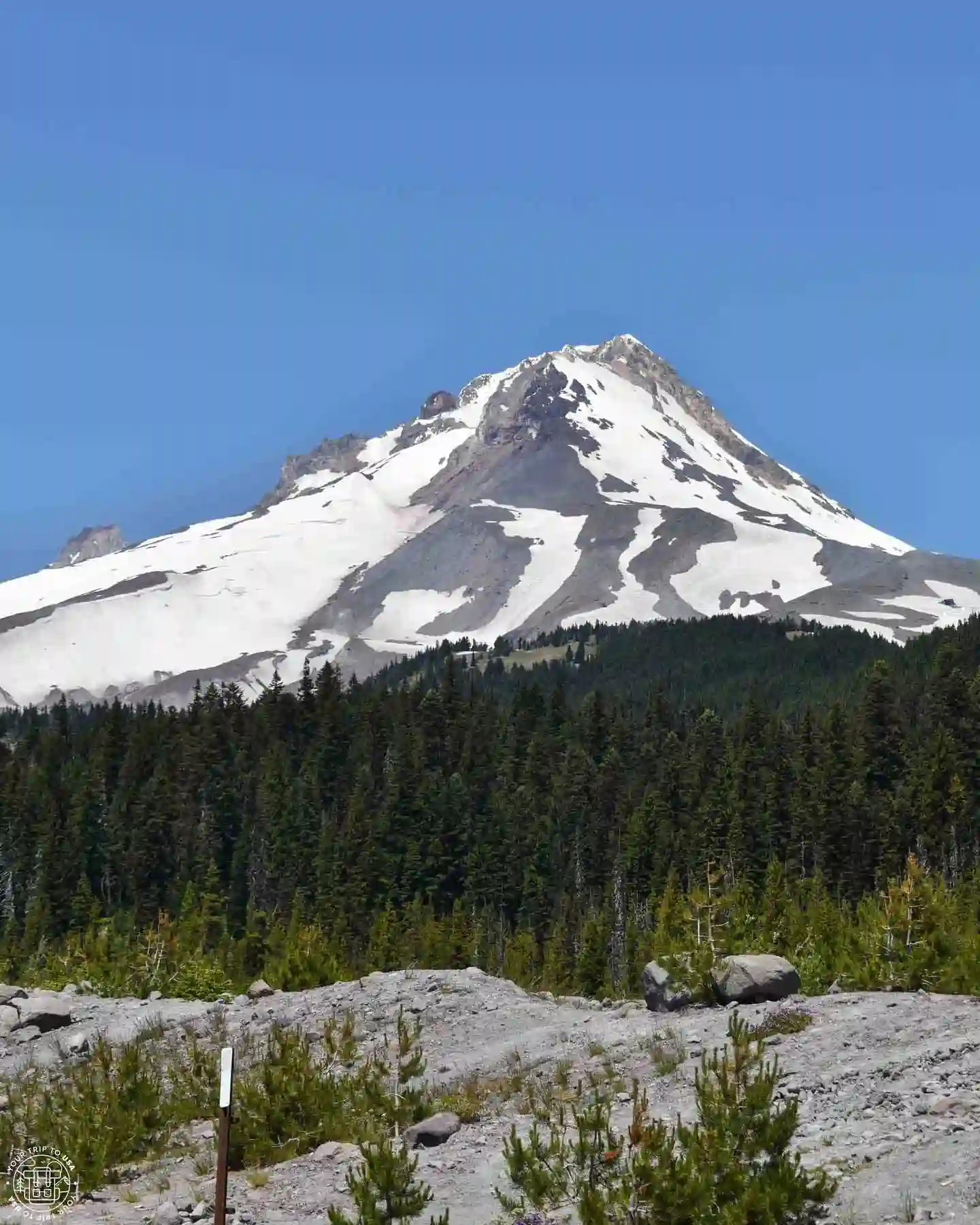 Mount Hood National Forest