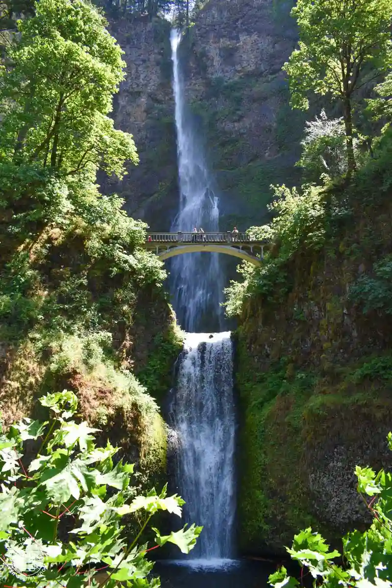 Multnomah Falls y Benson Bridge