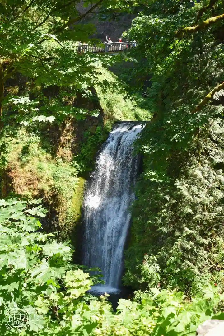 Multnomah Falls