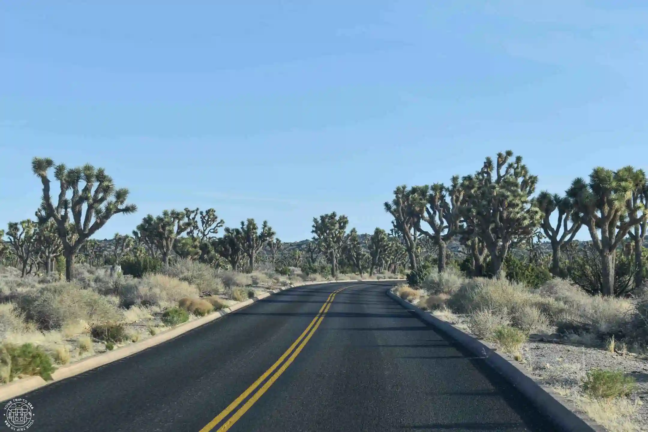 Carreteras en el Parque Nacional Joshua Tree