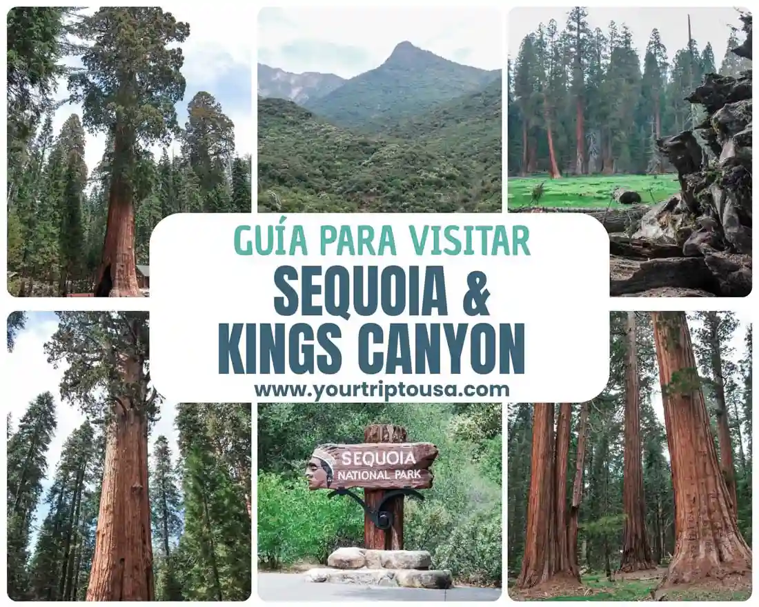 Parque Nacional Sequoia, Estados Unidos