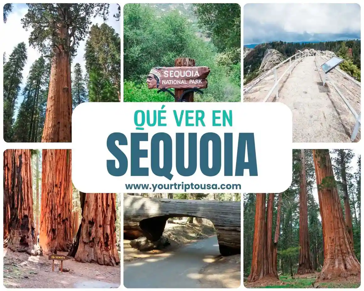 Qué hacer en Sequoia National Park