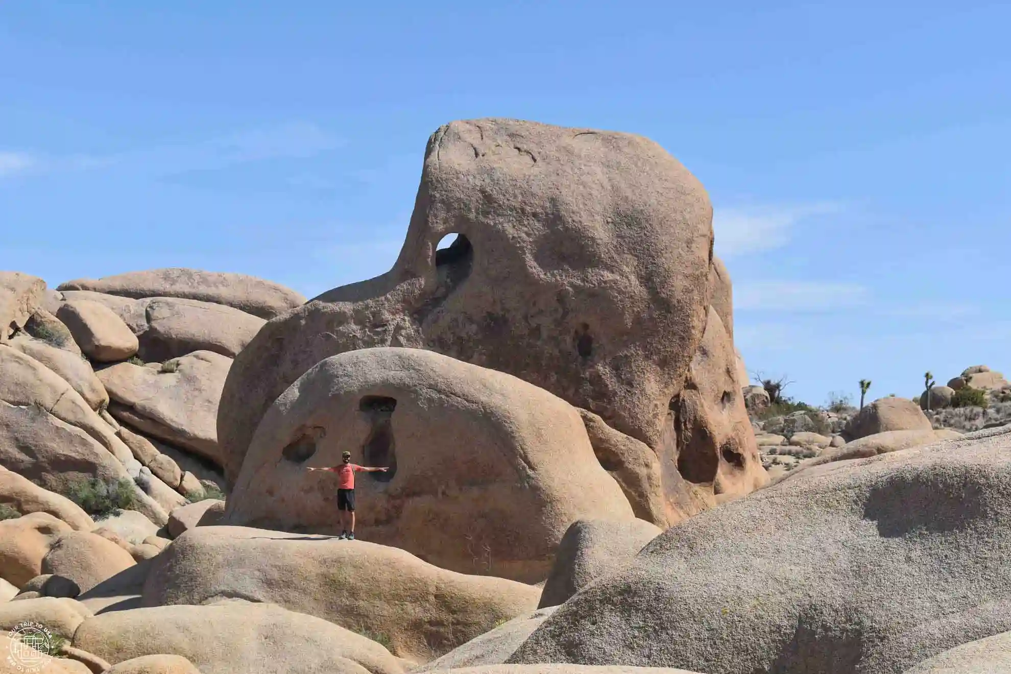 Qué ver en el Parque Nacional Joshua Tree