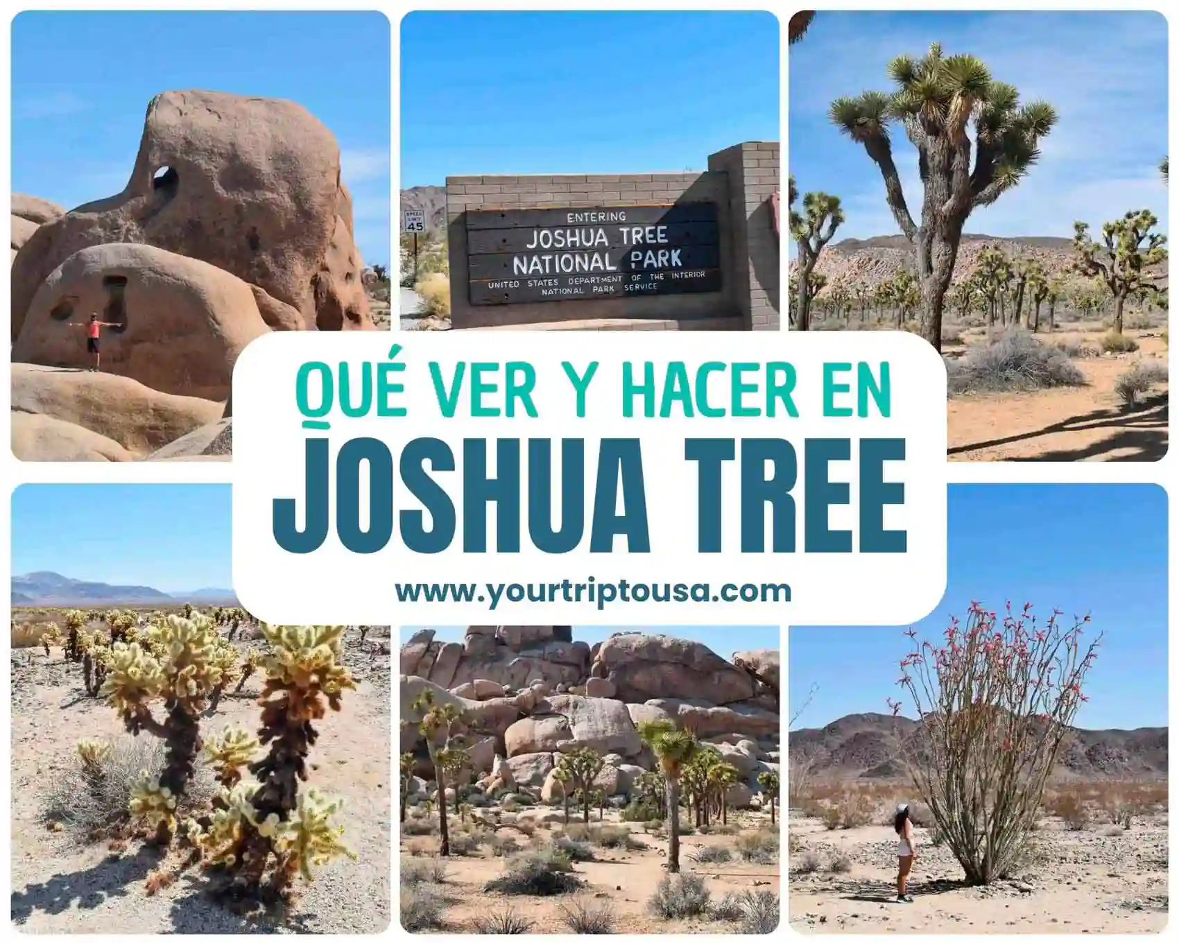 Qué ver y hacer en Joshua Tree