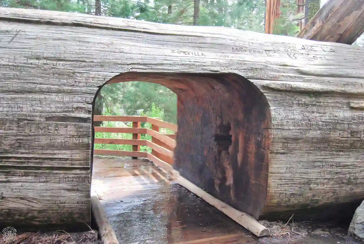 Sequoia National Park