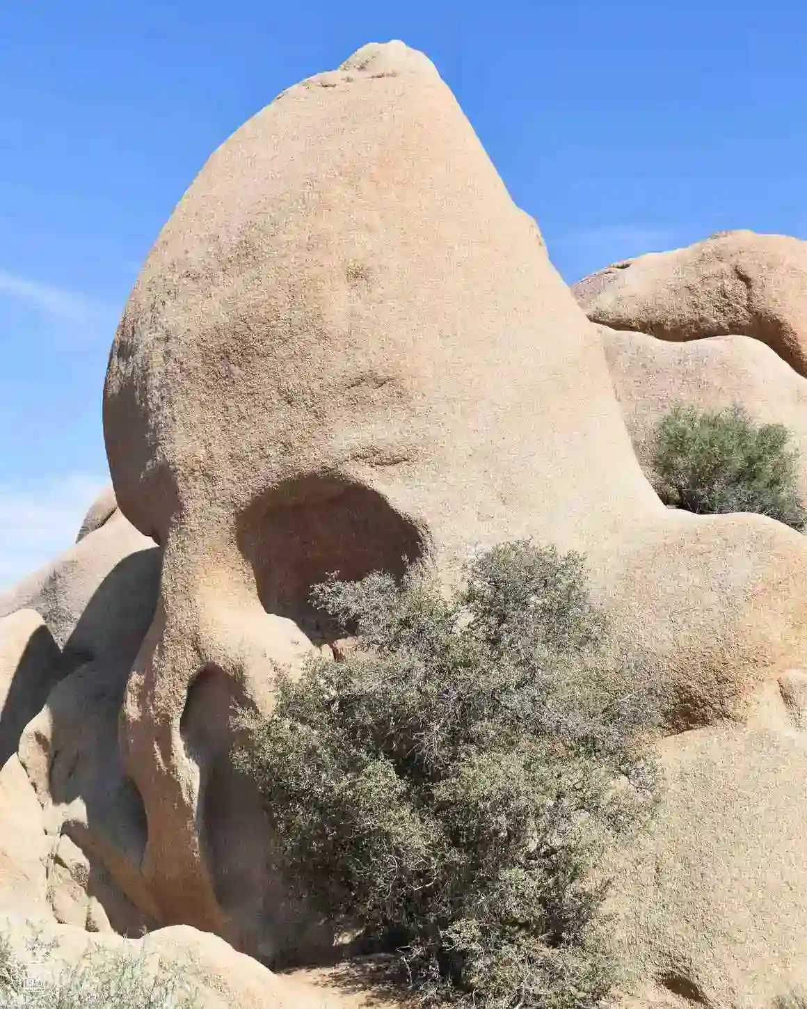 Skull Rock, Joshua Tree