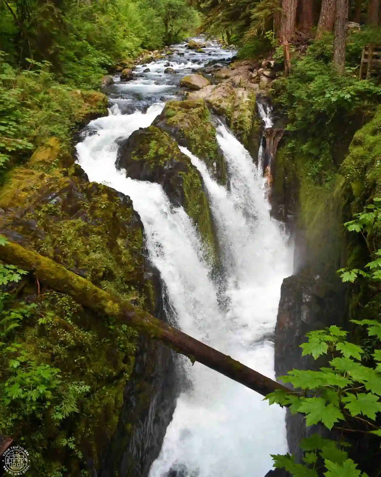 Sol Duc Falls, Olympic Peninsula, Washington