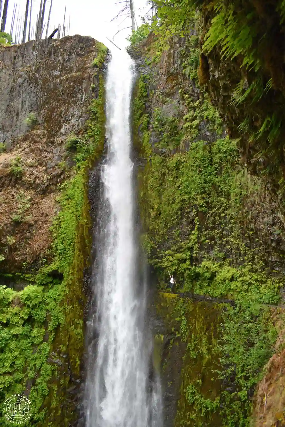 Tunnel Falls, Columbia River Gorge