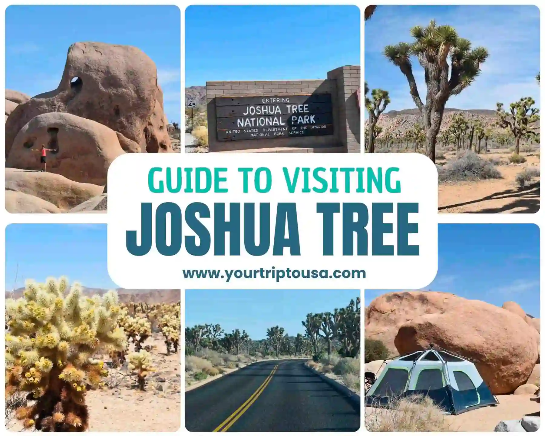 Visiting Joshua Tree National Park