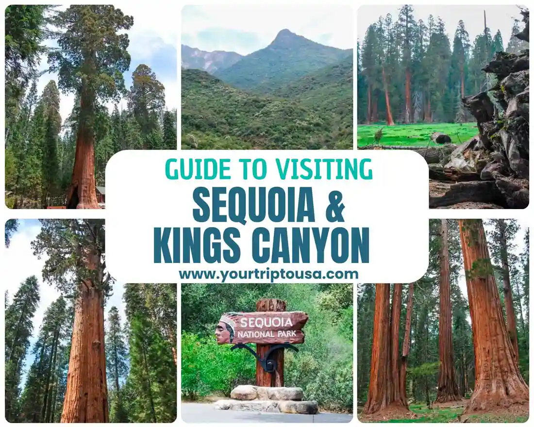 Visiting Sequoia National Park