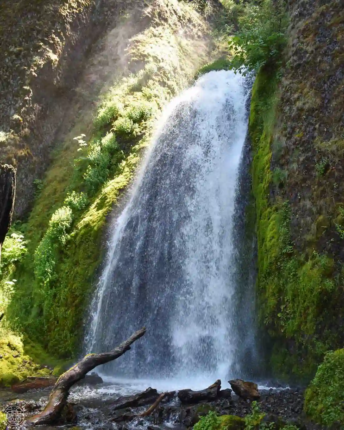 Wahkeena Falls, Columbia River