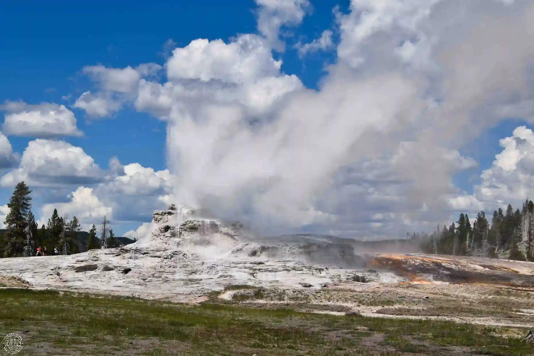 Castle Geyser, Upper Geyser Basin, Yellowstone National Park