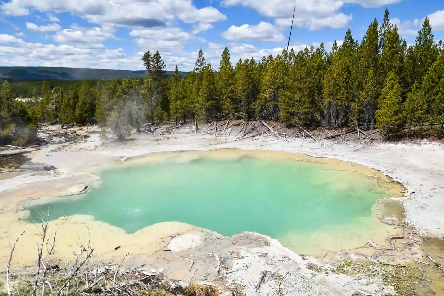 Emerald Spring, Yellowstone