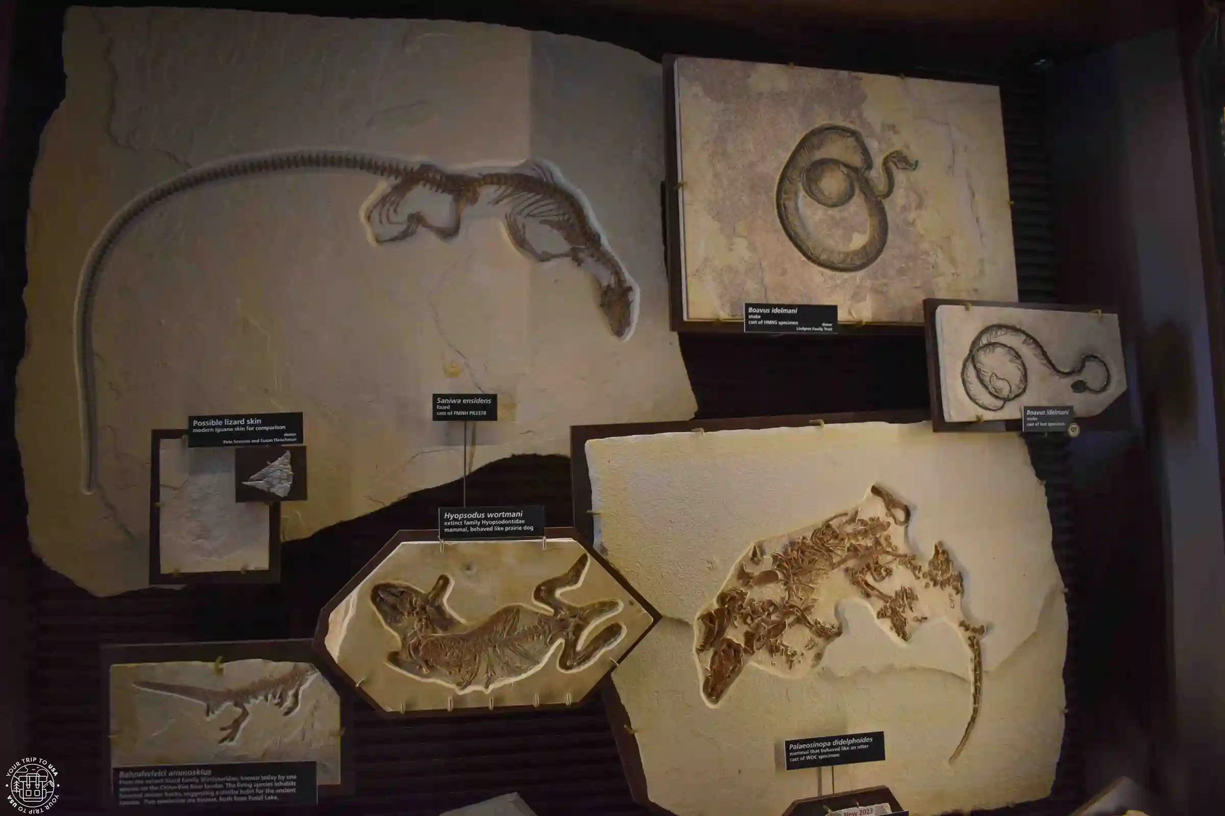 Fossil Butte National Monument, Wyoming