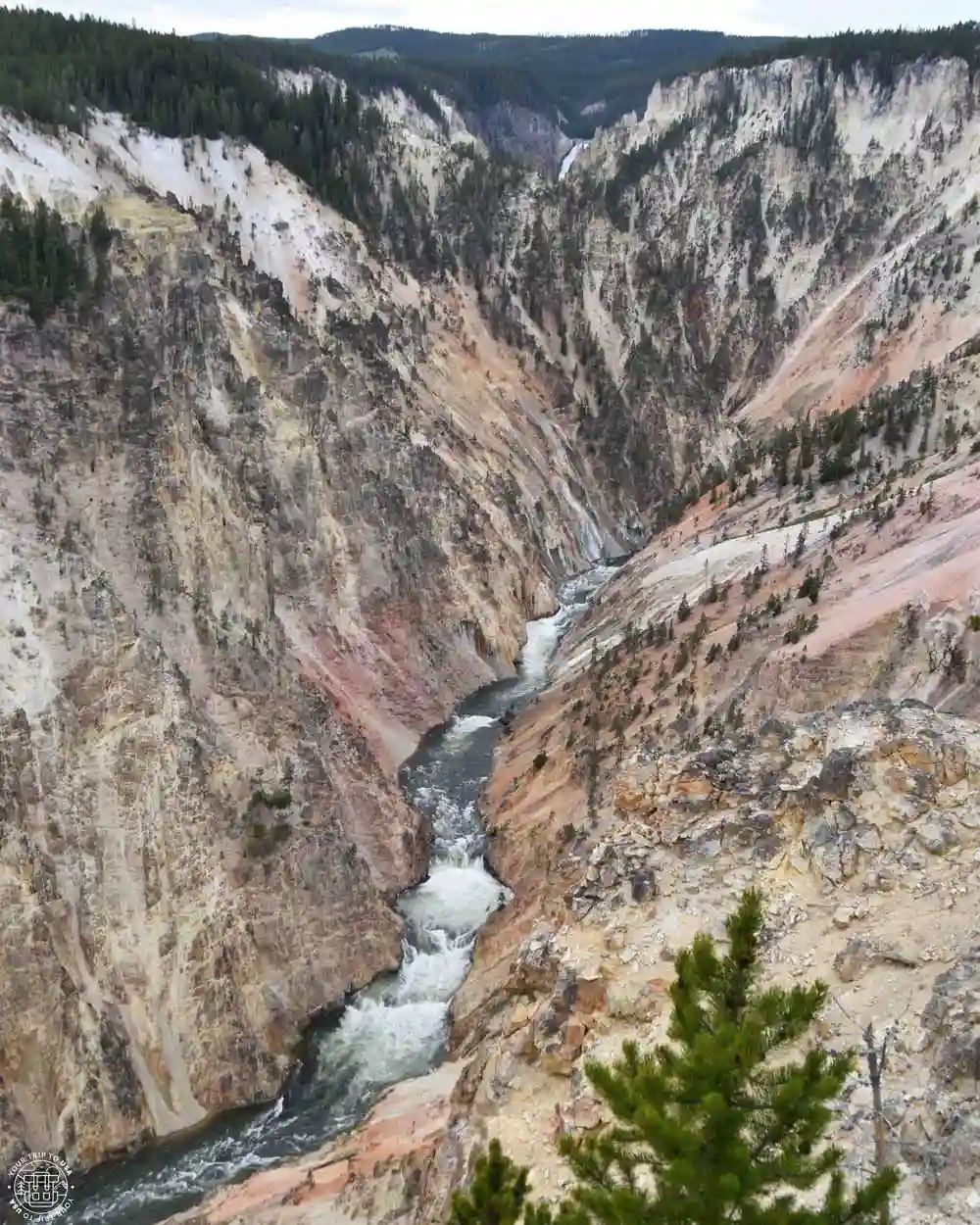 Grand Canyon of the Yellowstone